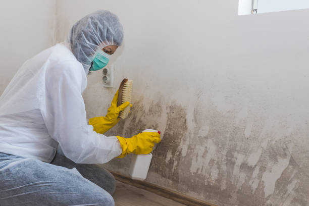 Biohazard Mold Removal in Seaside Heights, NJ