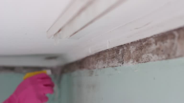 Asbestos and Lead Testing During Mold Inspection in Seaside Heights, NJ